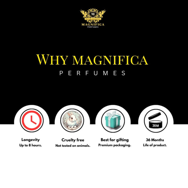 Magnifica Ten - Image 3